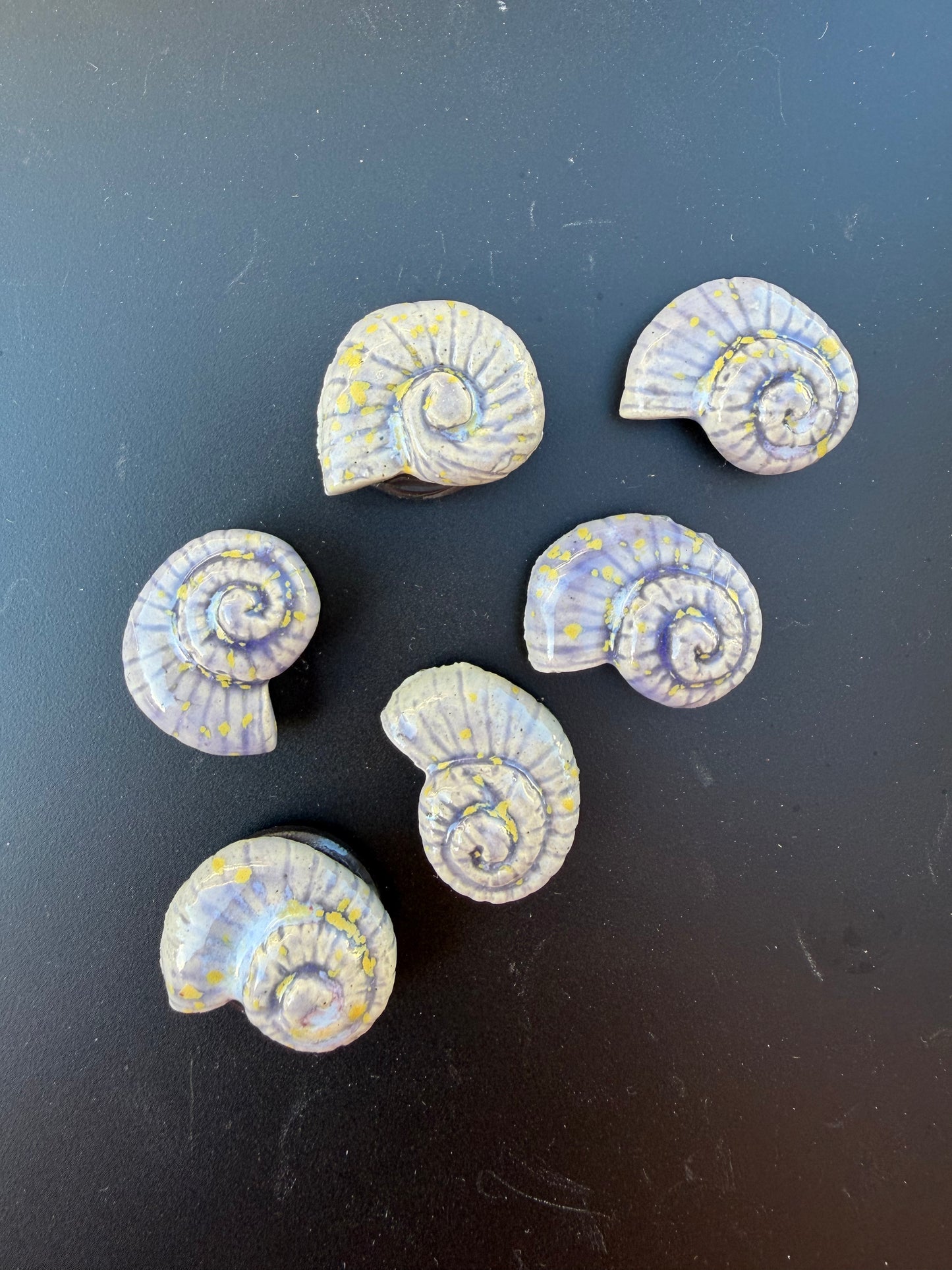 Barnacle Magnet
