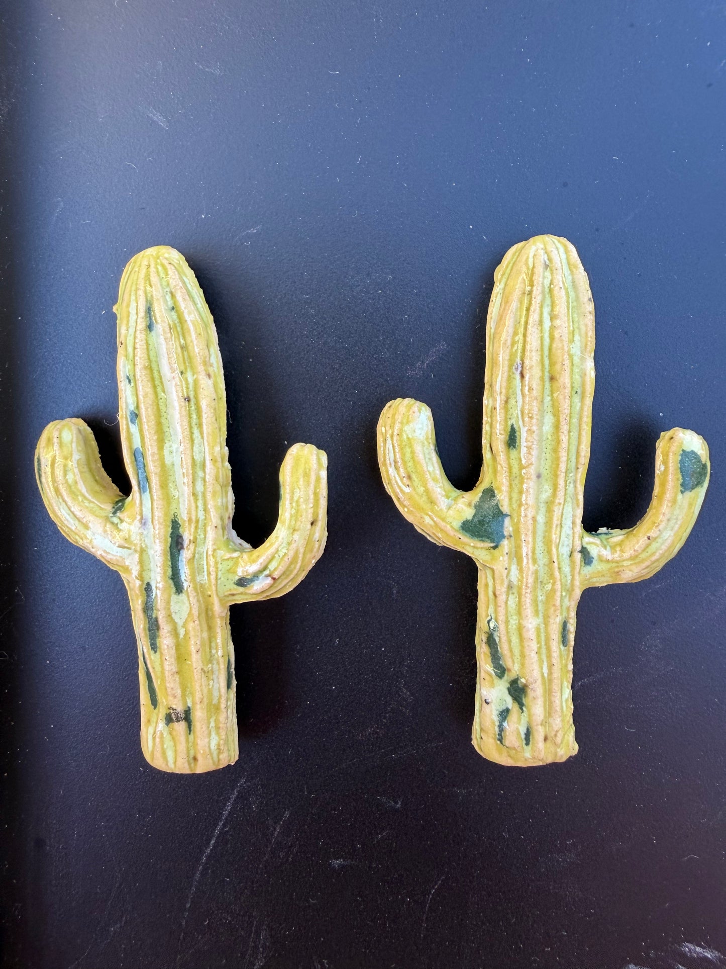 Cactus Magnet #1