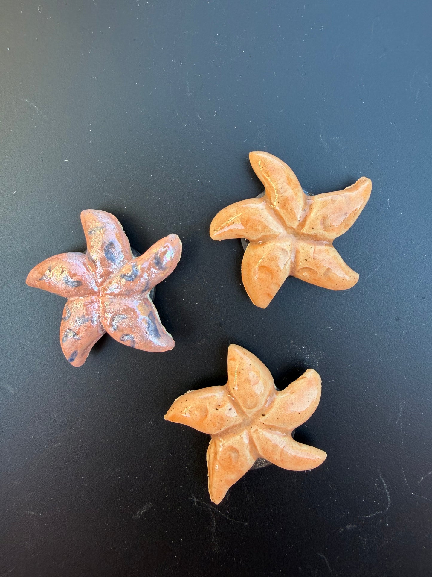 Starfish Magnet