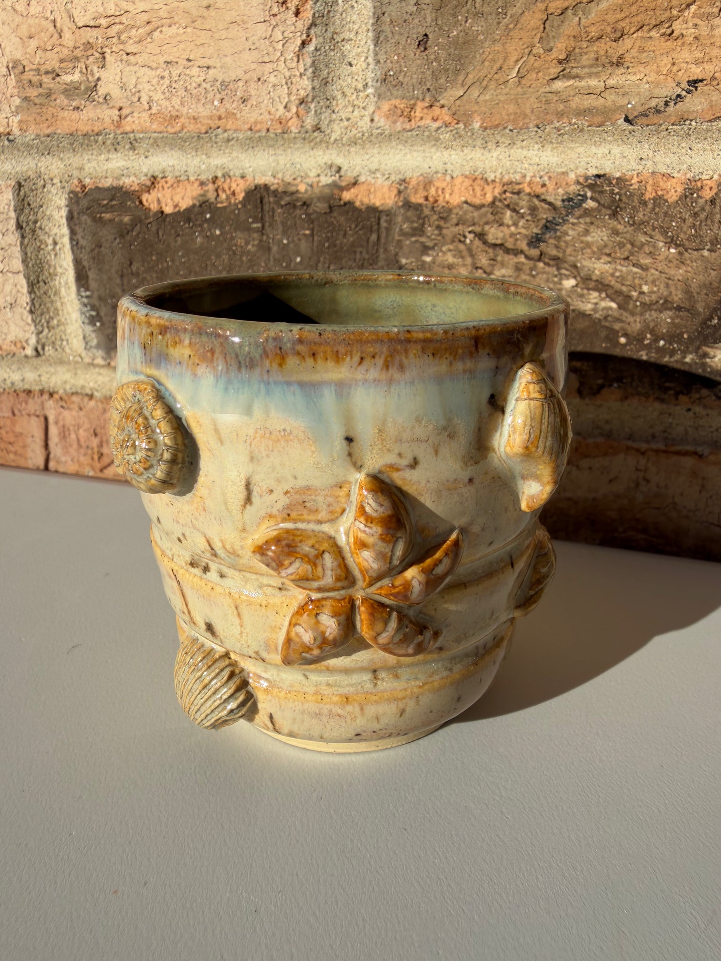 Seashell Espresso Cup